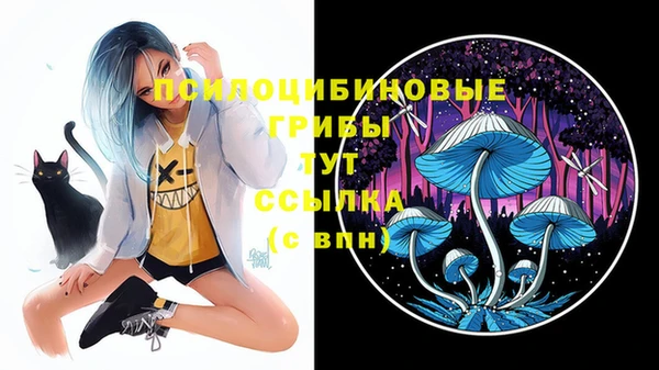 кокаин перу Белокуриха