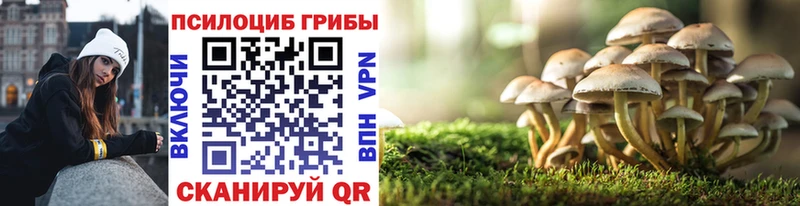 Галлюциногенные грибы GOLDEN TEACHER  купить   Верхняя Тура 